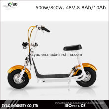 2016 La plus élégante Smart Harley Scooter électrique Citycoco Scooter Deux grandes roues pour Cool Sports Petit scooter Harley